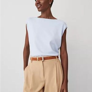 Ann Taylor Light Blue Wedge Sweater Blouse